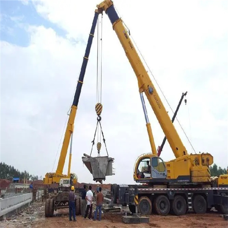 紫金小型吊机出租电话|厂房设备吊装方案|24小时服务覆盖